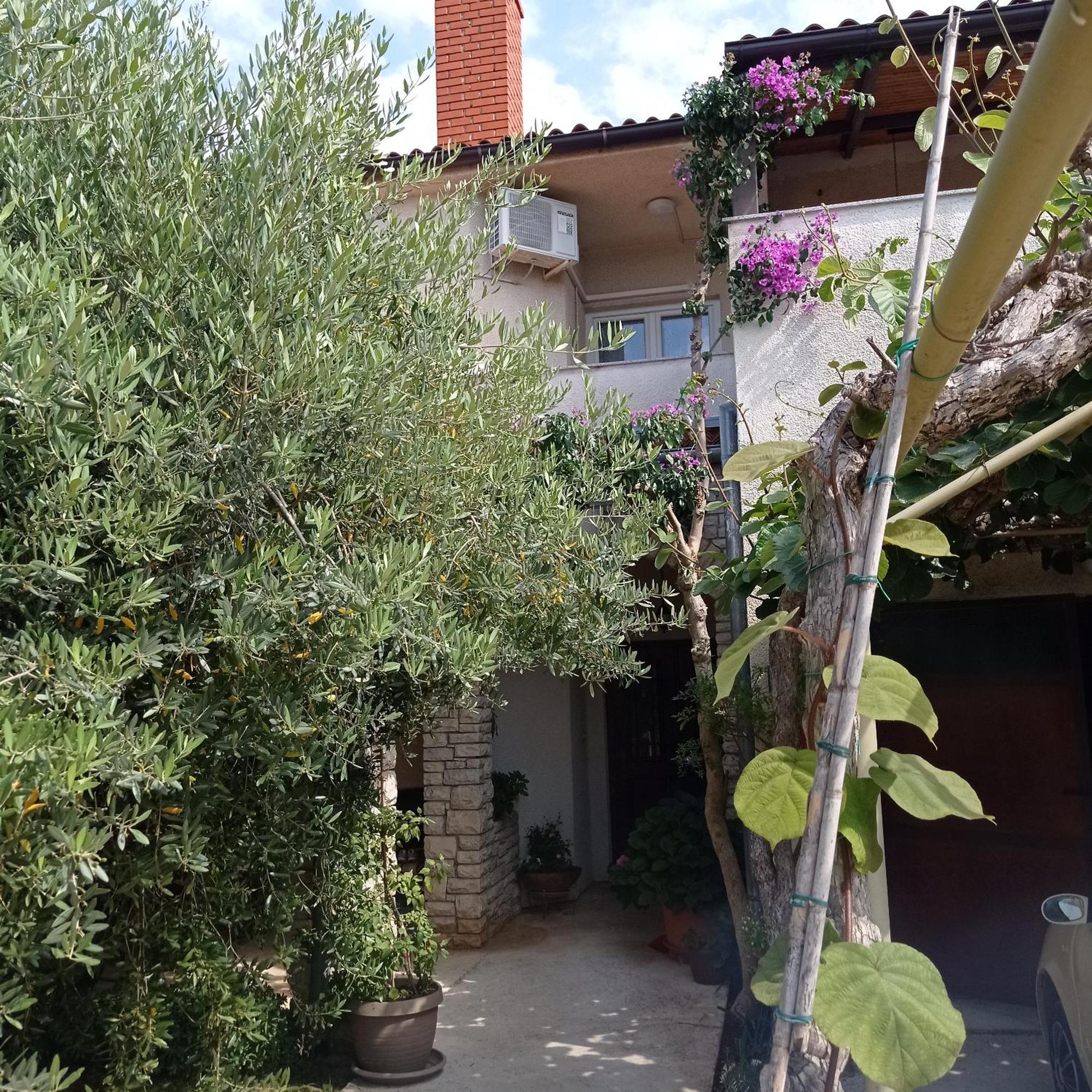 Apartments Anica PUY 외부 사진